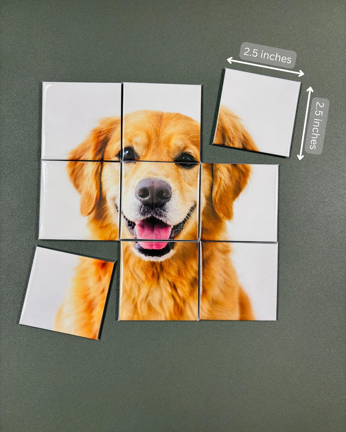 Puzzle Magnets